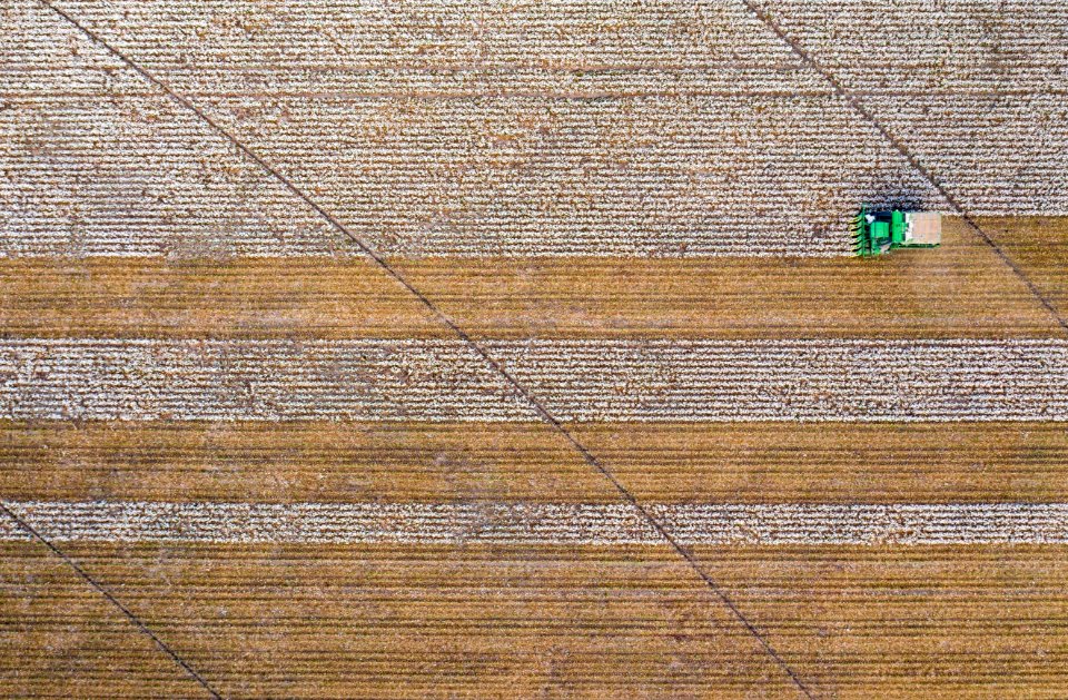 Aerial view of cotton harvester making horizontal stripe in Batesville, Texas field