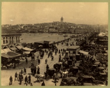 Aerial view of the Galata Bridge, Istanbul LCCN2003677084