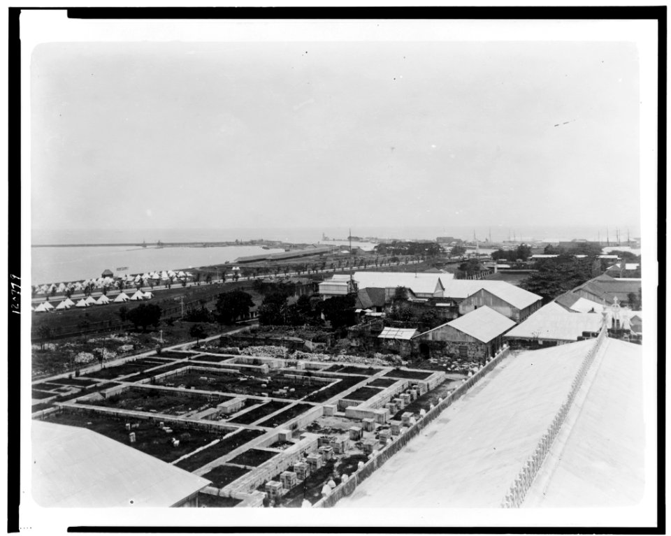 Aerial view of town in the Philippines, with tents along waterfront LCCN98507050