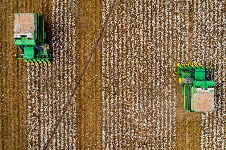 Aerial view of two cotton harvesters making horizontal stripes in Batesville, Texas field
