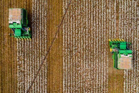 Aerial view of two cotton harvesters making horizontal stripes in Batesville, Texas field