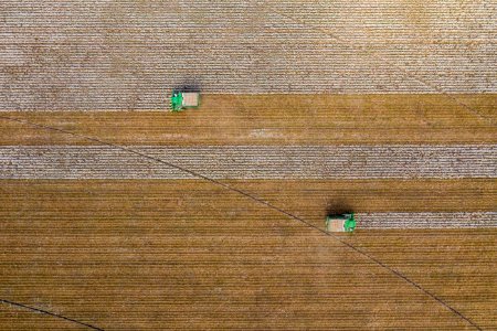 Aerial view of two cotton harvester making horizontal stripes in Batesville, Texas field