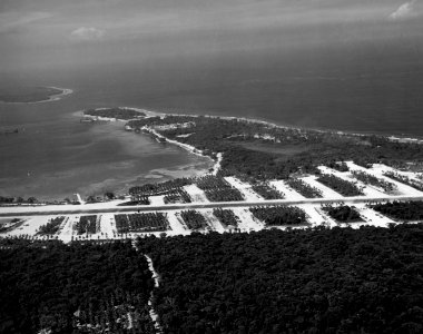 Aerial views of Palikulo Bay Airfield, Espiritu Santo, New Hebrides, on 29 December 1943 (80-G-322035)