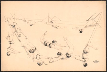 Aerialists LCCN2018647631