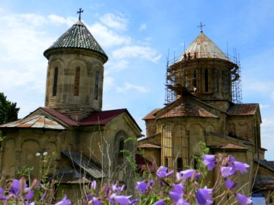 AFCP on Location in the Republic of Georgia. Gelati Monastery 10 photo
