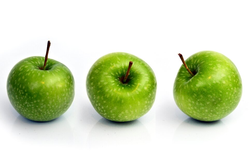 Food health succulent