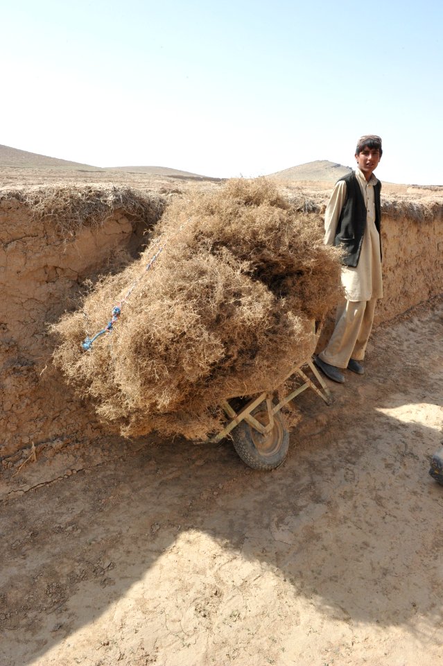 Afghan commandos dismounted patrol 120402-N-FV144-022
