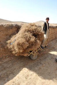 Afghan commandos dismounted patrol 120402-N-FV144-022 photo