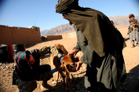 Afghan Local Police pay day- VET-CAP 111130-N-UD522-090