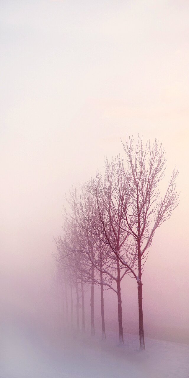Snow freezing nature