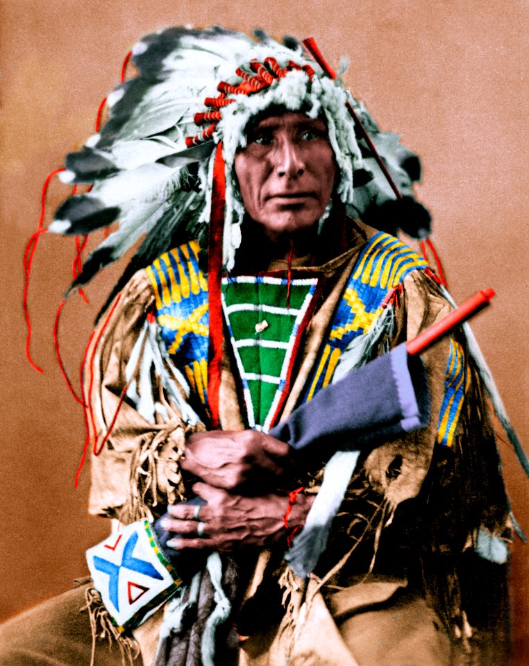 Afraid Of The Bear-Ma-To-Ko-Kepa. Cut Head, Sioux, 1872 - NARA - 519024coloredh