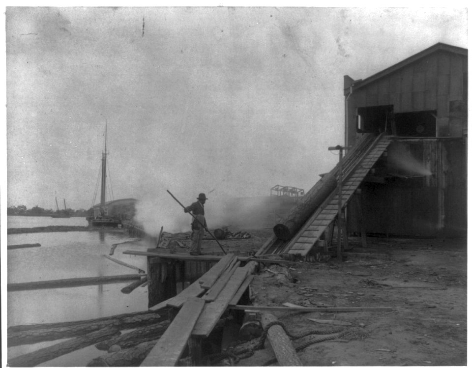 African American guiding log from water onto saw mill ramp, Newport News, Va., 1900 LCCN2001703747