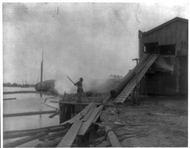 African American guiding log from water onto saw mill ramp, Newport News, Va., 1900 LCCN2001703747