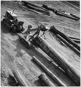 Africa. Cameroons. When a log arrives at the Eseka sawmill, a Caterpillar tractor and a Hyster-arch are again used to... - NARA - 541641