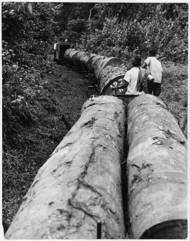 Africa. Cameroons. Lack of modern equipment made it impossible until recently to log many interior African timber... - NARA - 541646