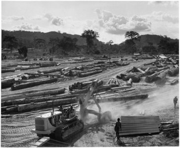 Africa. Cameroons. When the log arrives at the Eseka sawmill, a Caterpillar tractor and Hyster arch are again used to... - NARA - 541640