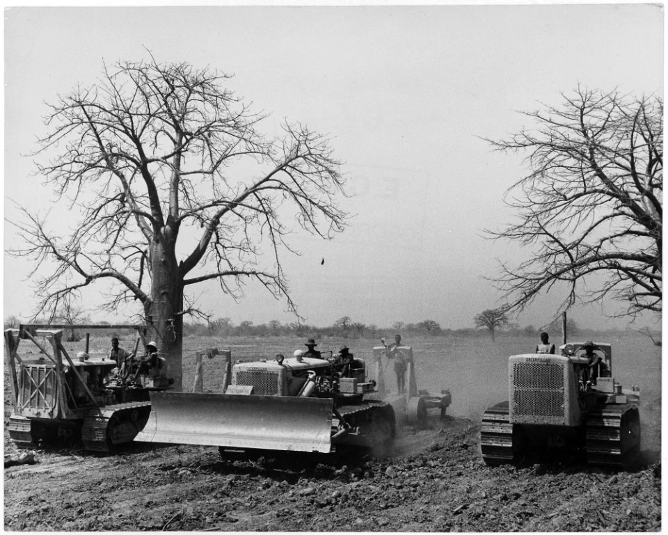 Africa. French West Africa. Caterpillar bulldozers and scrapers, part of a shipment which arrived in the spring of... - NARA - 541632