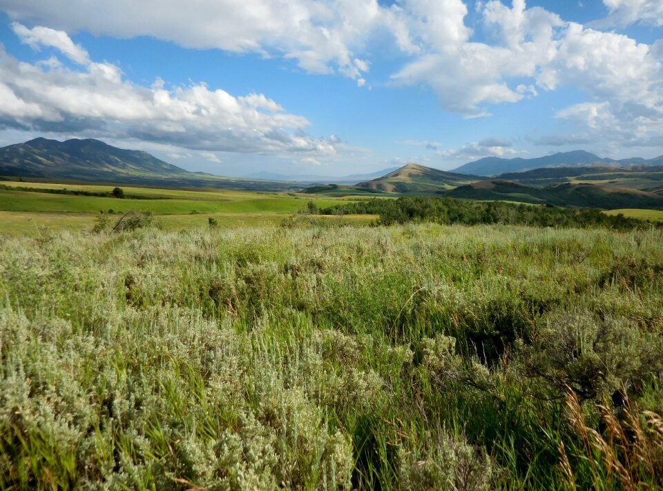 Clouds sky sagebrush