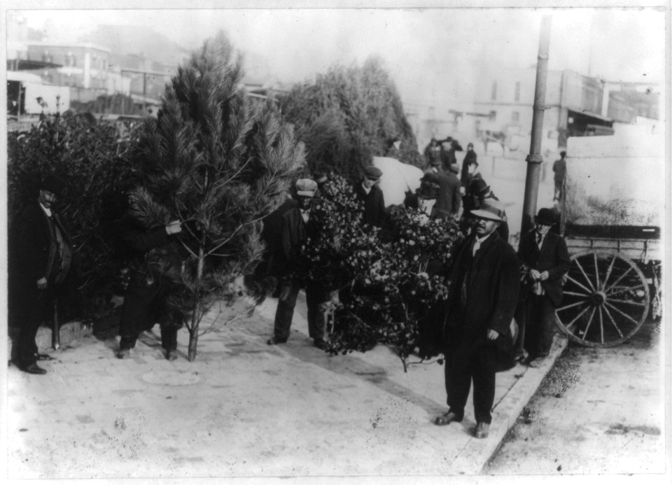 African Americans selling Christmas trees and holly, Washington, D.C. LCCN2001706171