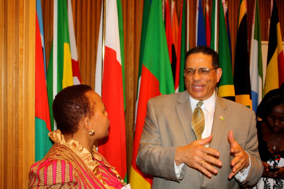 African Youth Forum - April 2011 (5609117826)