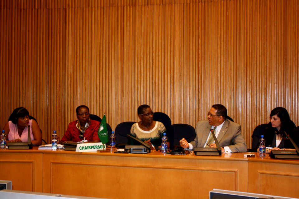 African Youth Forum - April 2011 (5609117836)