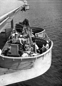 Aft 40 mm Bofors on USS Princeton (CV-37) in 1950