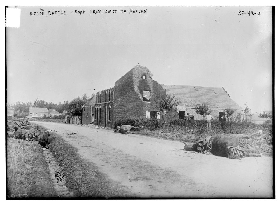After Battle - Road from Diest to Haelen LCCN2014697621