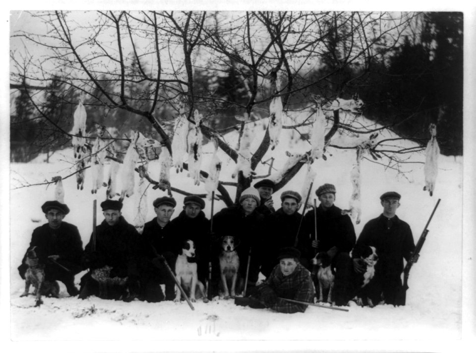 After the hunt LCCN90705726