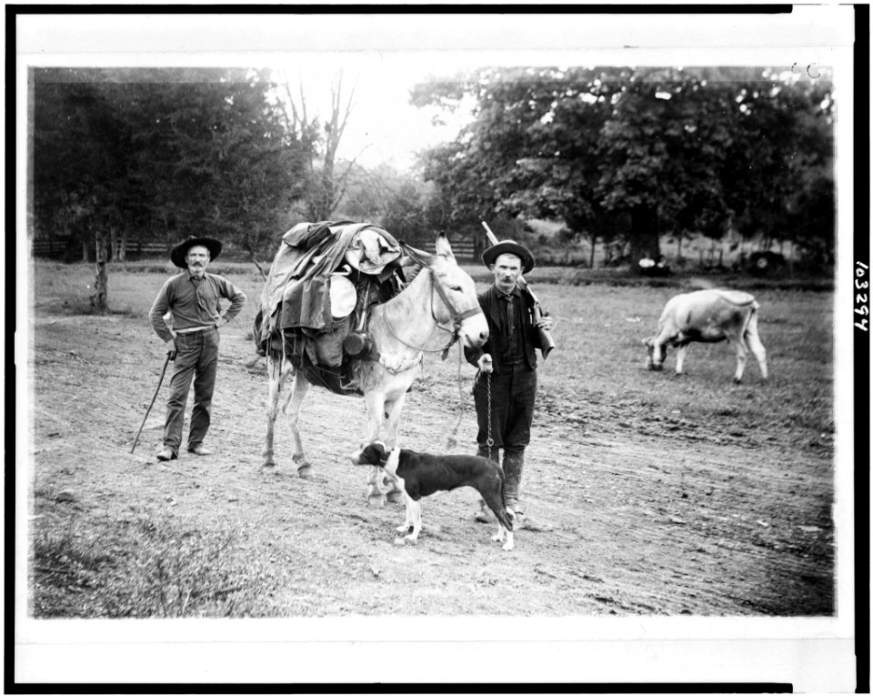 After the golden prospect - From J.R. Peden, & Co., photographers, Maryville, Tenn. LCCN91731185