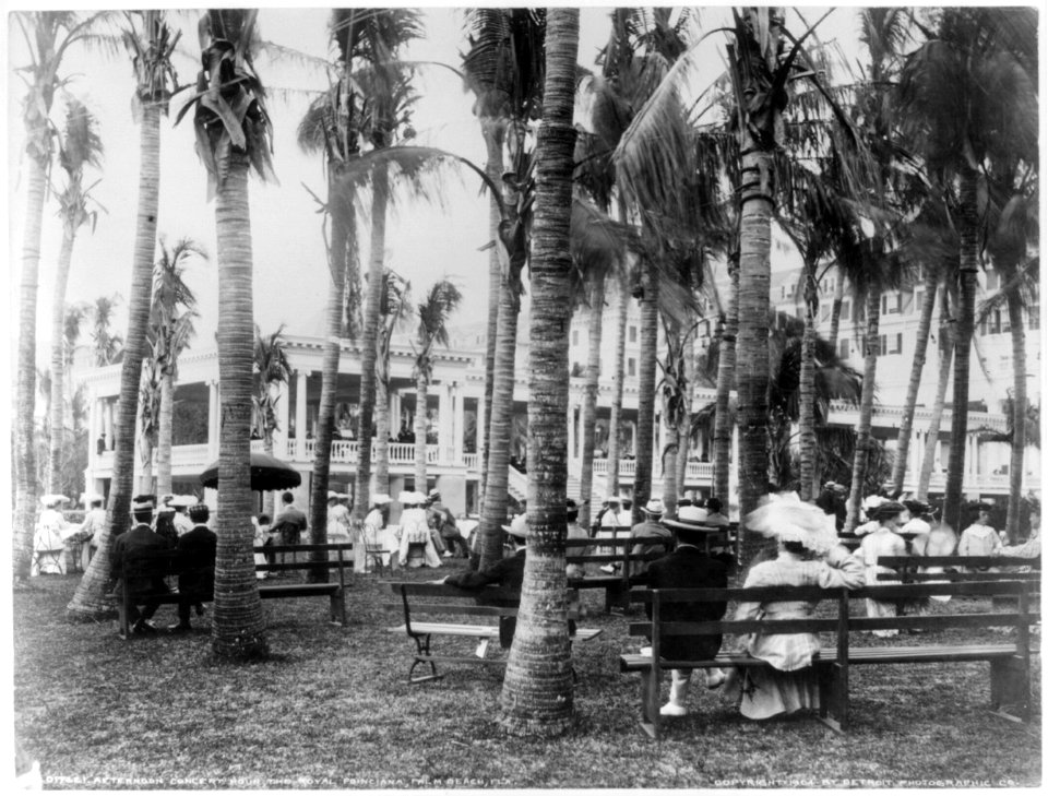 Afternoon concert hour, the Royal Poinciana, Palm Beach, Fla. LCCN2002699811