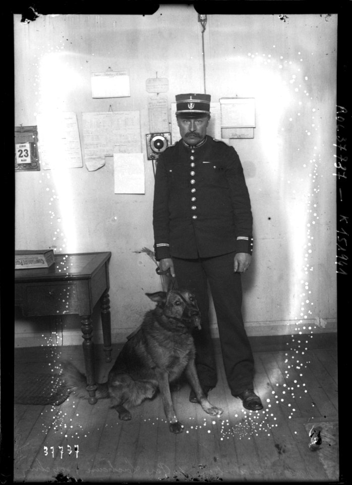 Agence Rol - Le gardien du cimetière du Père Lachaise et son chien policier