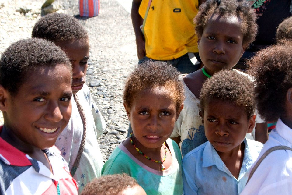 Agribusiness Project Papua - Swine Farming (5511402652)