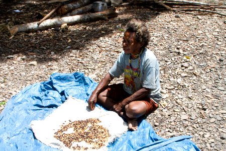 Agribusiness Project Papua - Coffee Cooperative (5511420218)