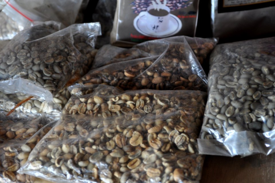 Agribusiness Project - Coffee (5663371330)