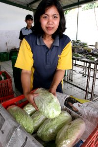 Agriculture Produce (4339438314)
