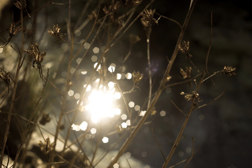Water sunlight sunshine