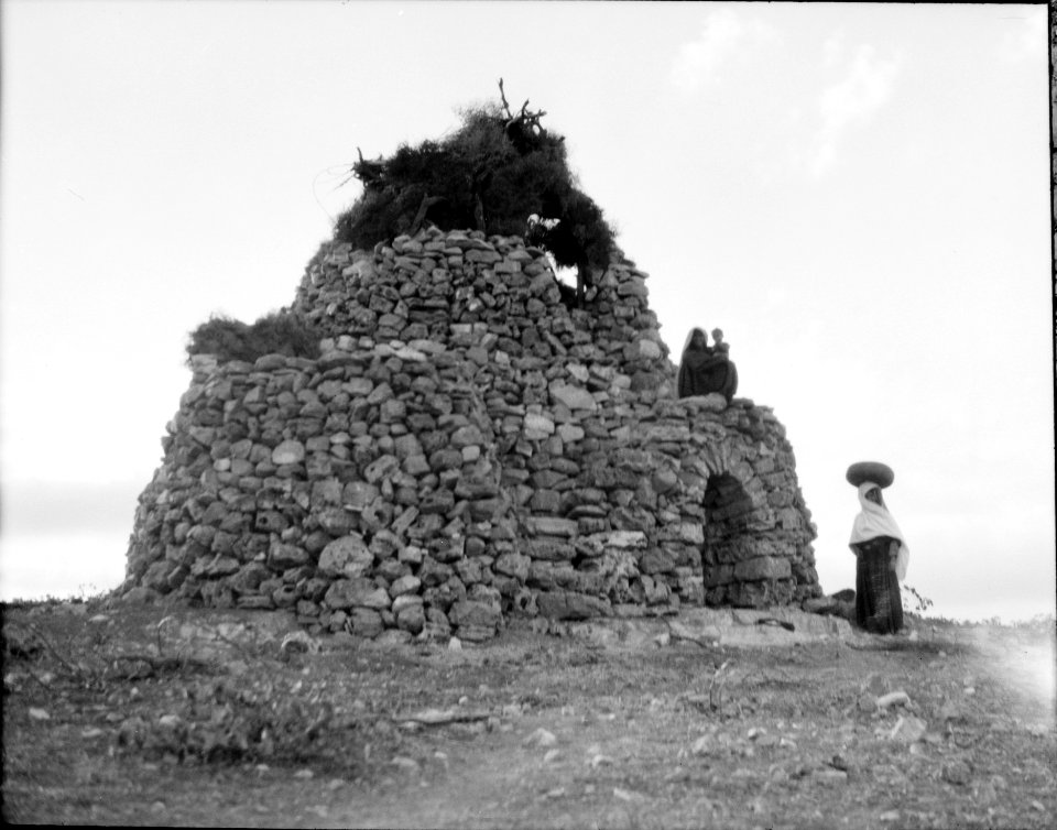 Agriculture, etc. A watch-tower near Taibeh. Silhouette effect with evening glow LOC matpc.15633