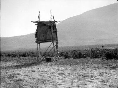 Agriculture, etc. A watch-tower on stilts. A vineyard at the foot of Mt. Tabor LOC matpc.15634 photo