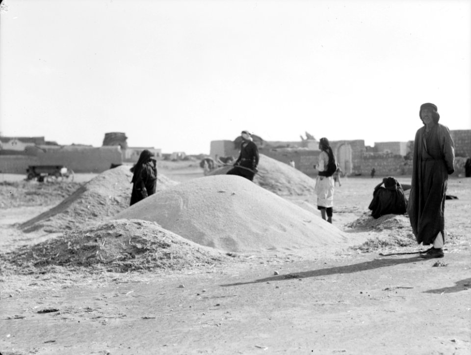 Agriculture, etc. Piles of millet seed on threshing floors of Kakoun on the Plain of Sharon LOC matpc.15640