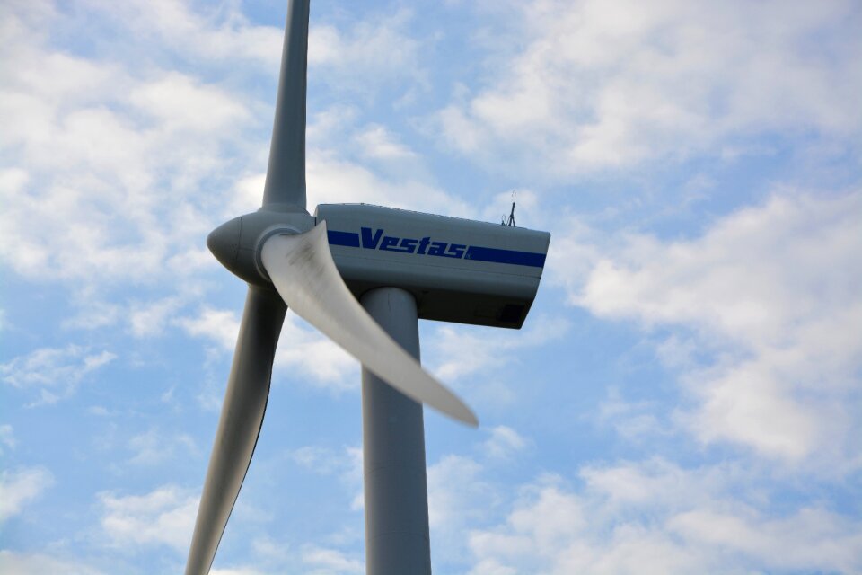 Fin wings sustainable development