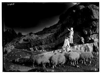 Agriculture, etc. Shepherd scenes. The shepherd night watch reads the stars. To know the hour LOC matpc.02989