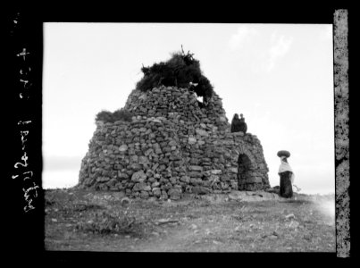Agriculture, etc. A watch-tower near Taibeh. Silhouette effect with evening glow LOC matpc.15633