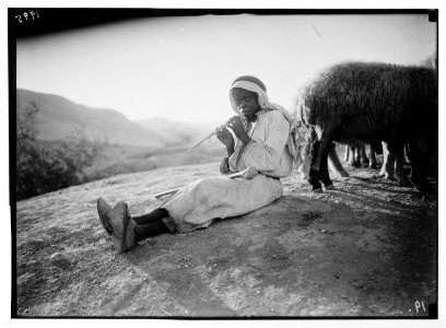 Agriculture, etc. Shepherd scenes. Study of a 'Ghawarni' shepherd boy. Of the Jordan valley. A close up playing his shepherd pipe LOC matpc.02982