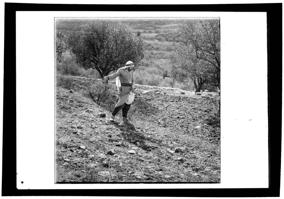 Agriculture, etc. Sowing grain LOC matpc.15636