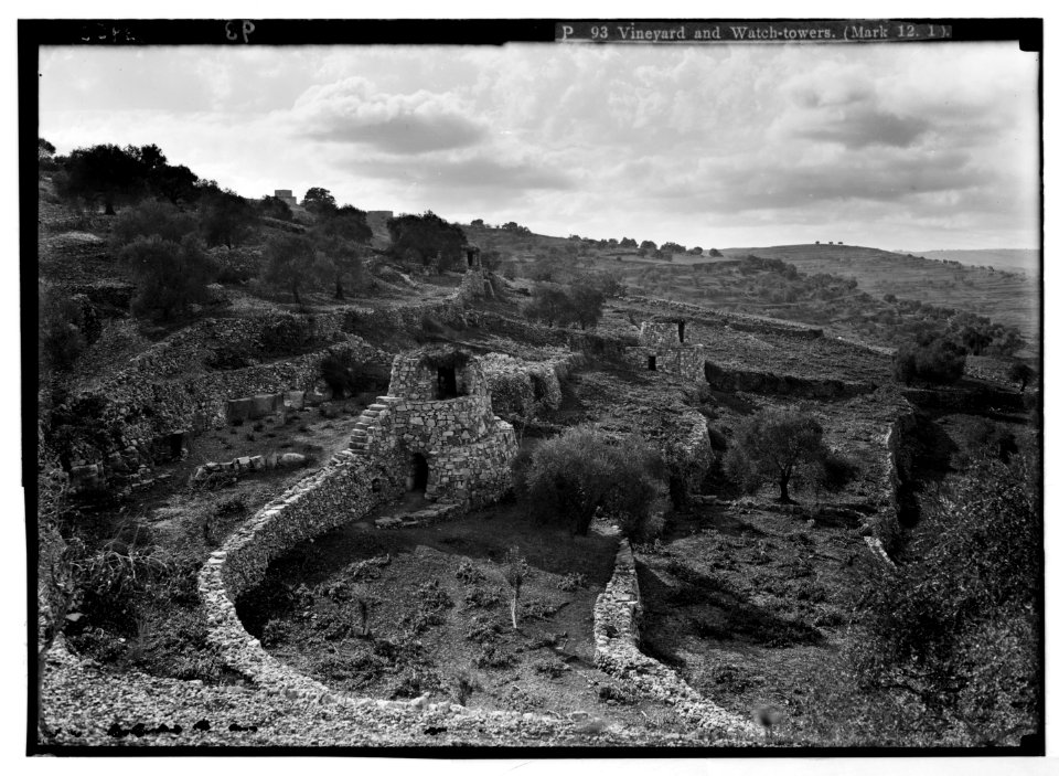 Agriculture, etc. Vineyard and watch-tower. '.and hedged it round about and built a tower' LOC matpc.02970