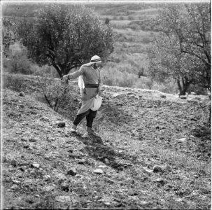 Agriculture, etc. Sowing grain LOC matpc.15636 (cropped)