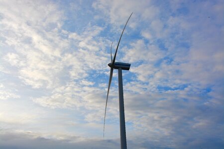 Fin wings sustainable development