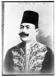 Ahmed Schukri Bey LCCN2014711488
