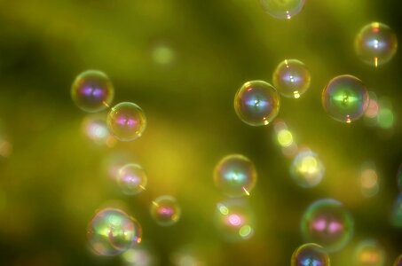 Float colorful make soap bubbles photo