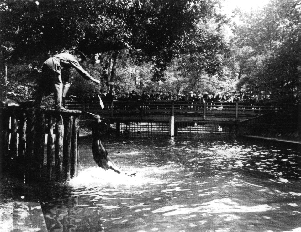 AHW Robbenfuetterung Zoo Leipzig um 1928-1